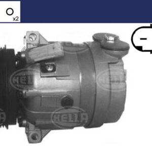 Kompresor, klimatizace MAHLE ACP 320 000S
