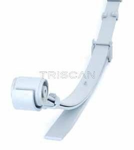 Paket pružin TRISCAN 8765 29021