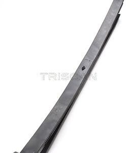 Paket pružin TRISCAN 8765 23021