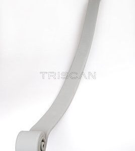 Paket pružin TRISCAN 8765 23019