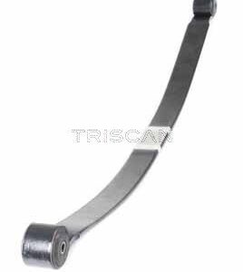 Paket pružin TRISCAN 8765 16055