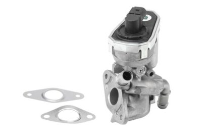 AGR-Ventil BorgWarner (Wahler) 710941R