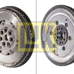 Setrvačník Schaeffler LuK 415 0419 10
