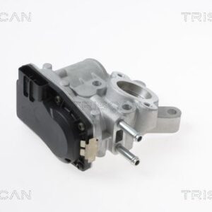 AGR-Ventil TRISCAN 8813 14100